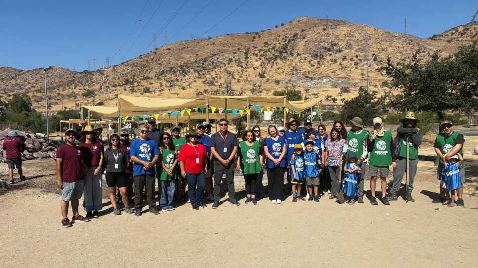 Jornada de plantación Bosque de Bolsillo Alto el Manzano
